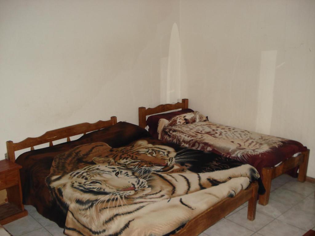 Hotel Danaly سالتو الغرفة الصورة